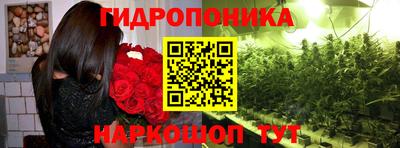круглые Аргун