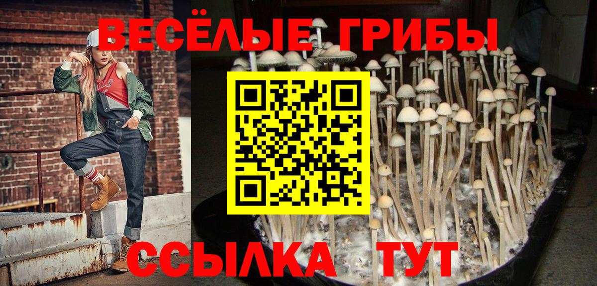 как найти закладки  Галлюциногенные грибы Cubensis  Вход с VPN  Галлюциногенные грибы Psilocybine cubensis  Вичуга 