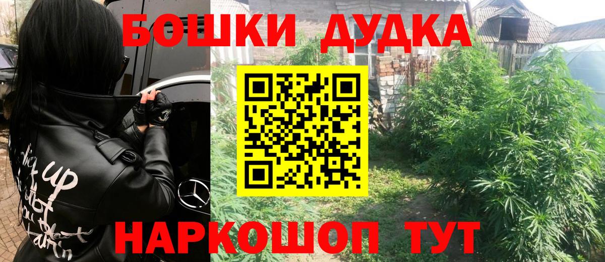 Каннабис OG Kush Вичуга